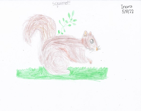 I like this one because I like squirrels. [May 2022]
