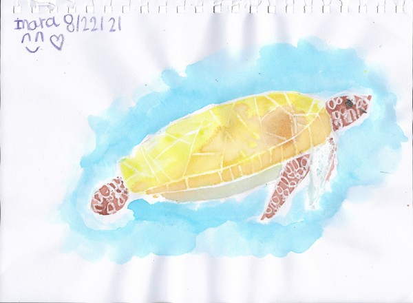 Sea turtles! Oil pastel! Watercolor! What could possibly go wrong??!!! [August 2021]